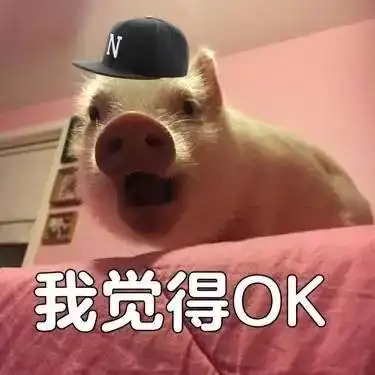 周末无休,今夜无眠,只因我们拥有不谢的青春
