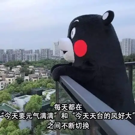 一组搞笑的表情包
