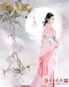 兰陵王妃16集剧情介绍人物结局兰陵王妃推迟播出内幕曝光
