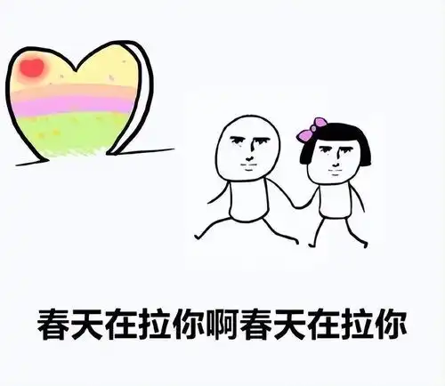 无标题
