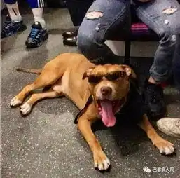 奇葩图鉴我在巴黎地铁上遇到的那些人
