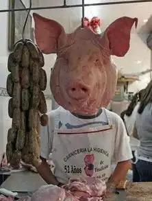 恶搞图片
