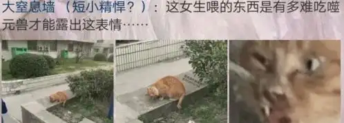 爆笑图片,保证您开怀大笑
