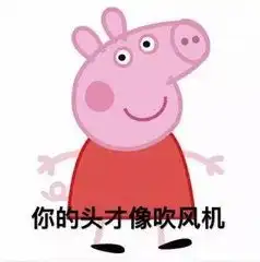 谁说我的头像吹风机,小猪佩奇
