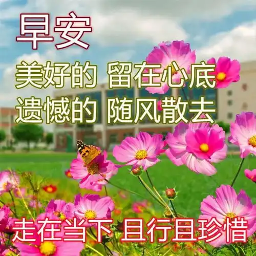 3月1日周三早安问候图片带字,但愿彼此多保重,健康快乐每一天
