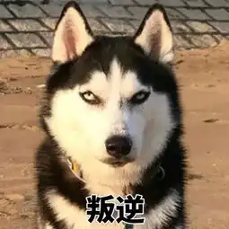 给你三秒钟改口
