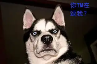 搞笑萌宠为什么我的眼里常含泪水,因为我养了只哈士奇,爆笑来袭来呀互相伤害啊
