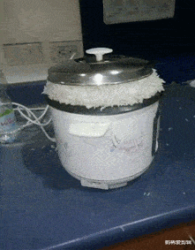 这大概是史上最美伴娘吧新郎有没有后悔没先认识闺蜜啊
