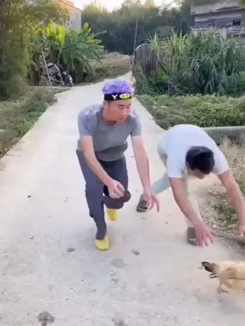 搞笑开心一刻,沙雕搞笑
