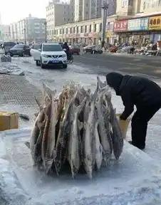 宝马撞上二师兄每日轻松一刻1月1日晚间版
