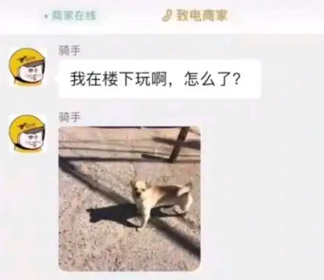盘点网上那些能把头笑掉的聊天记录
