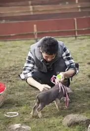 爸爸老爸变装逗萌娃小猪赛跑趣味多
