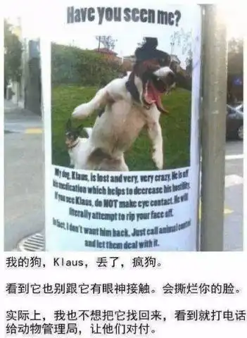 令人爆笑的寻宠启事,主人是真的想把它找回来吗宠物是崩溃的
