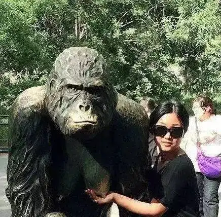 空姐让配钥匙的给睡了
