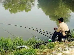 悠闲夏日上海周边垂钓攻略地图
