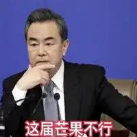 外交部发言人表情包微信头像图片大全
