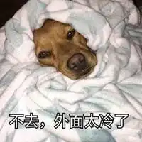 东北的冬天冻人的搞笑图片微信头像图片大全
