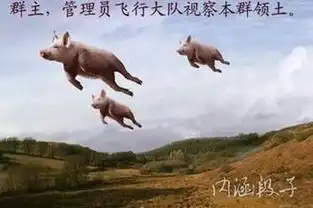 程远视频直播全集程远资料大全yy官方
