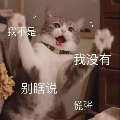 沙雕表情包
