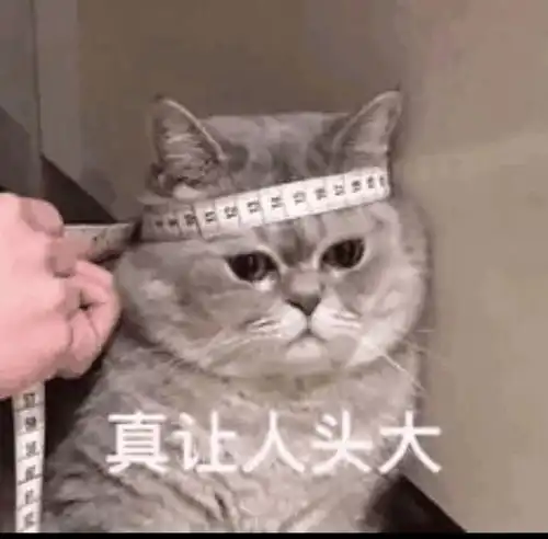 关于王者荣耀的沙雕搞笑句子,让你成为排位里最可爱的仔
