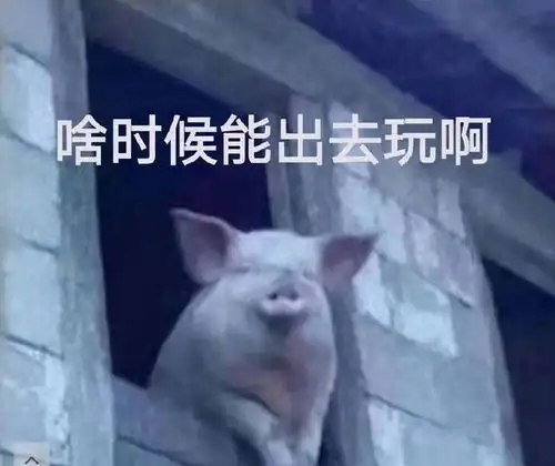 既沙雕又搞怪的文案
