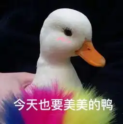 泳装女郎大秀事业线比基尼惹人瞩目
