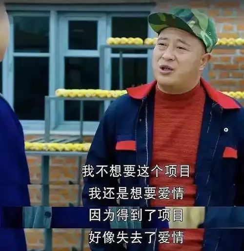 从沈腾雷佳音到野狼disco,我的笑点为什么被东北人承包了
