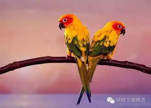 幽默微小说站错队
