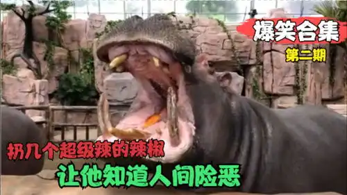 爆笑行为视频合集食之无味不够塞牙缝,莫非老子吃了口寂寞
