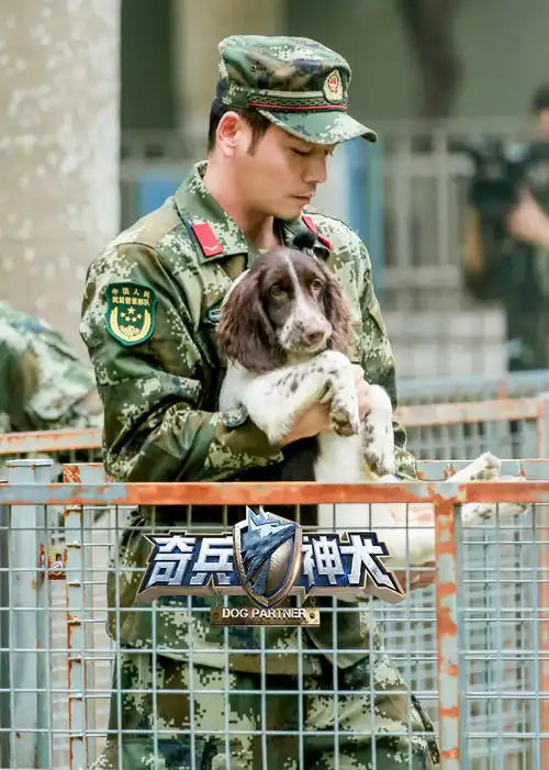 表情沙溢cut爆笑模仿警犬表情,收警犬徒弟上演三傻闯江湖表情
