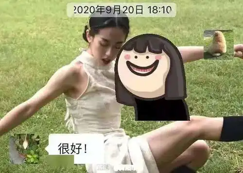 爸妈对表情包的误解也太大了吧哈哈哈哈笑到窒息
