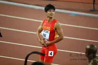 台铃盘点北京世锦赛提升pb的中国健儿
