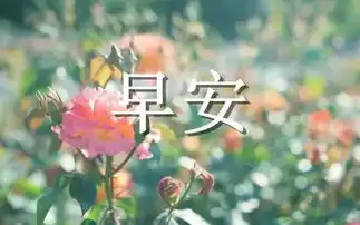 最新朋友圈早安问候图片带字新的一天早安心语心情说说

