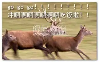 动物吃货表情图片动物吃货图片表情包下载高清无水印版软件下载
