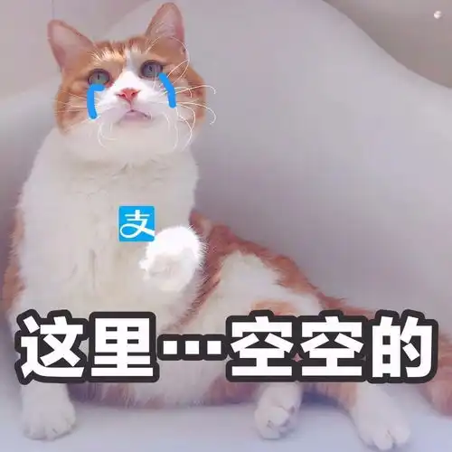 颜值暴击ysl又双叒叕来骗我们的钱了
