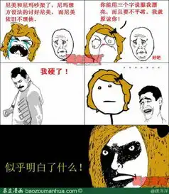求暴走漫画图片带字的,不少于10张
