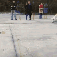 搞笑gif20张搞笑图片,笑到你怀疑人生
