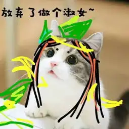 可爱猫咪带字头像搞笑图片大全2018伸手怕犯错缩手怕错过
