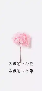 文字壁纸丨白头偕老一个人
