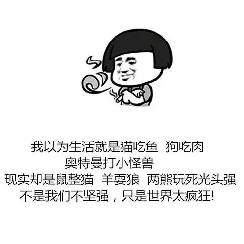 我的矮大紧指北快结束了
