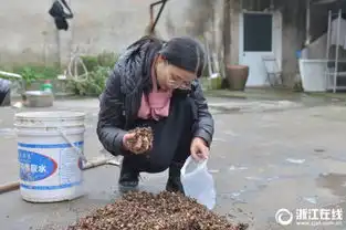 90后女生毕业回乡做农一代养蘑菇比养花好玩
