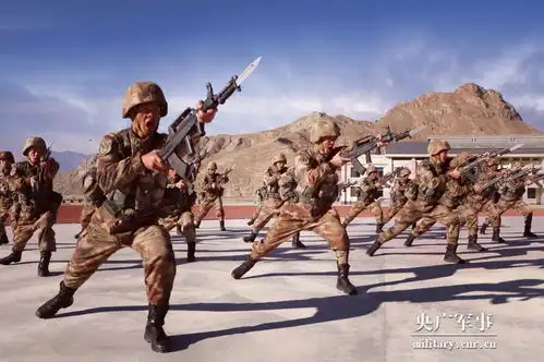 炮火轰鸣高燃组图直击官兵比武考核现场

