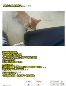 轻松一刻果然是喷气式自行车,我骑了没三里地,累得放了五个屁
