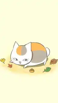 壁纸控这波猫咪老师太可爱啦

