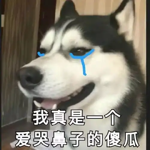 赵丽颖恋上霸道战狼总裁,连鱼塘都不要了
