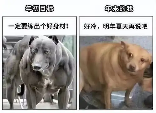 盘点全网笑到肚子疼的搞笑图片,笑死人不偿命第十九期
