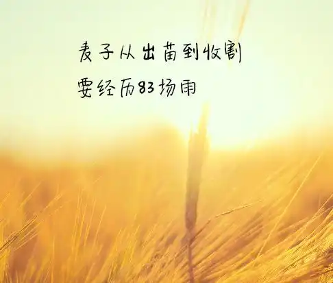 周末早安心语正能量励志说说心情一句话配图
