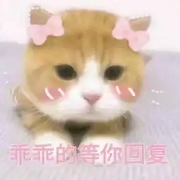 2018qq带字头像可爱猫咪呆萌搞笑梦里不知身是客一晌贪欢
