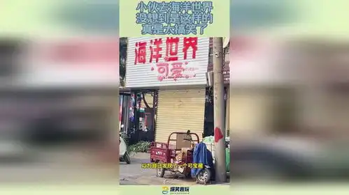 小伙去海洋世界,没想到是这样的,真是太搞笑了
