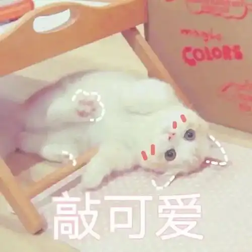 毛孔粗大是因为油这话只对了一半......
